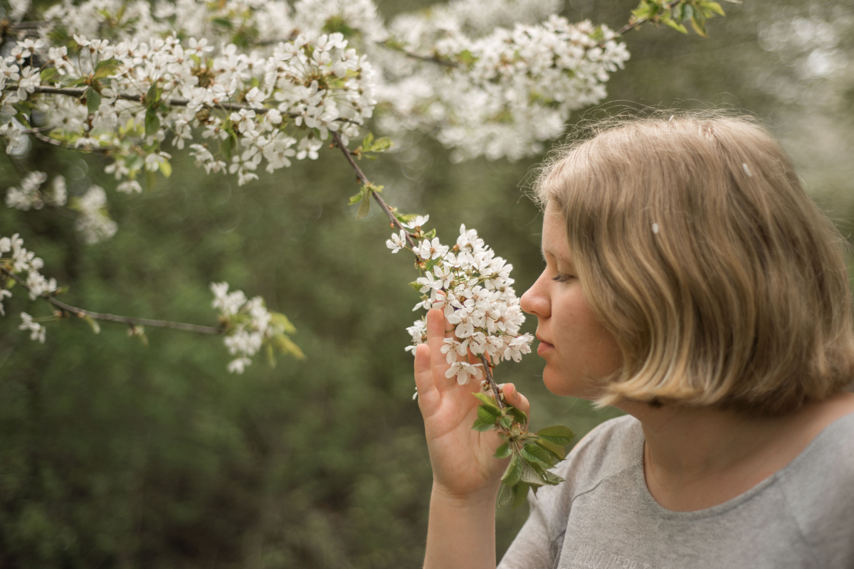 Transform Your Space with Resort Inspired Scents: Discover the Secret to Luxury Living