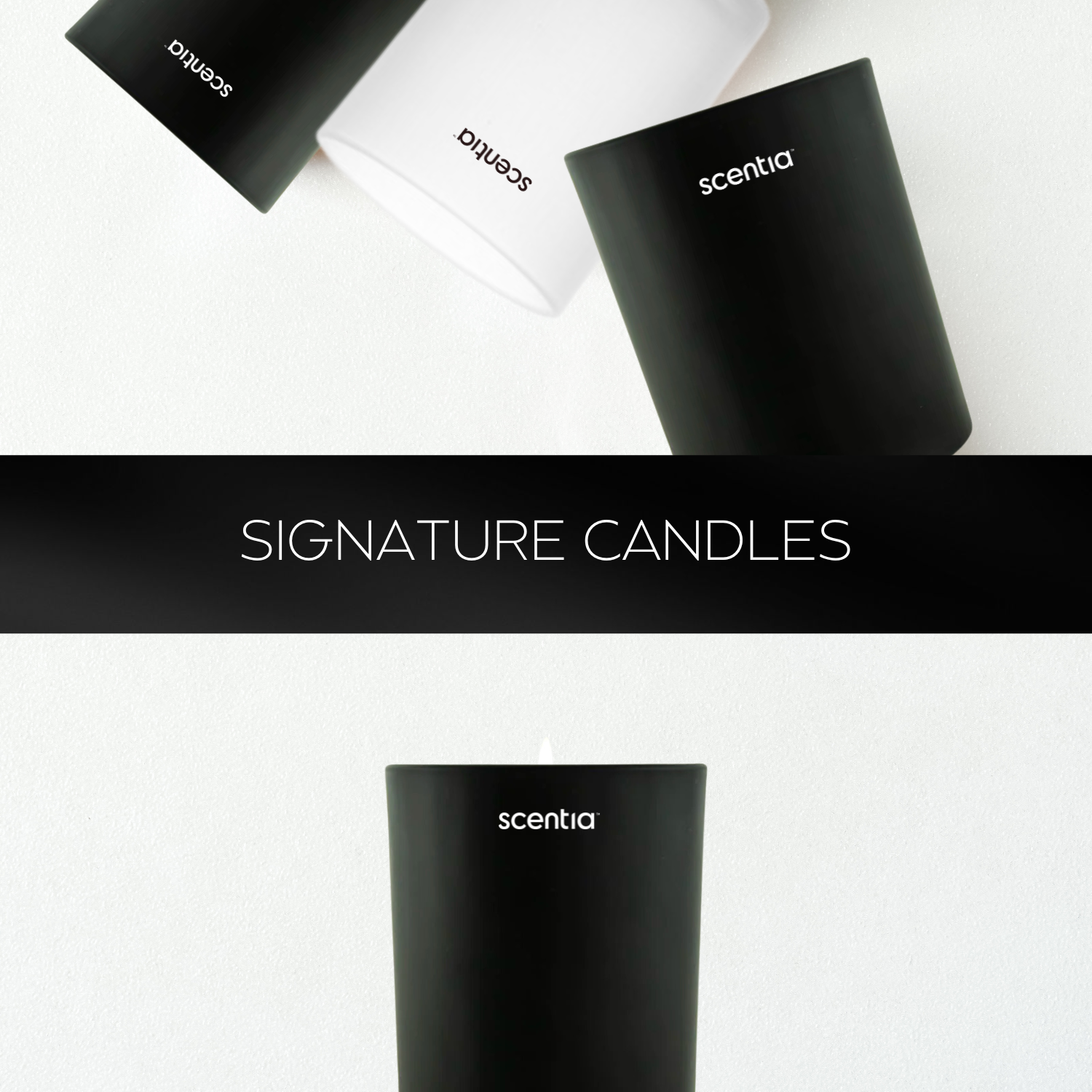 Scentia Room Spray