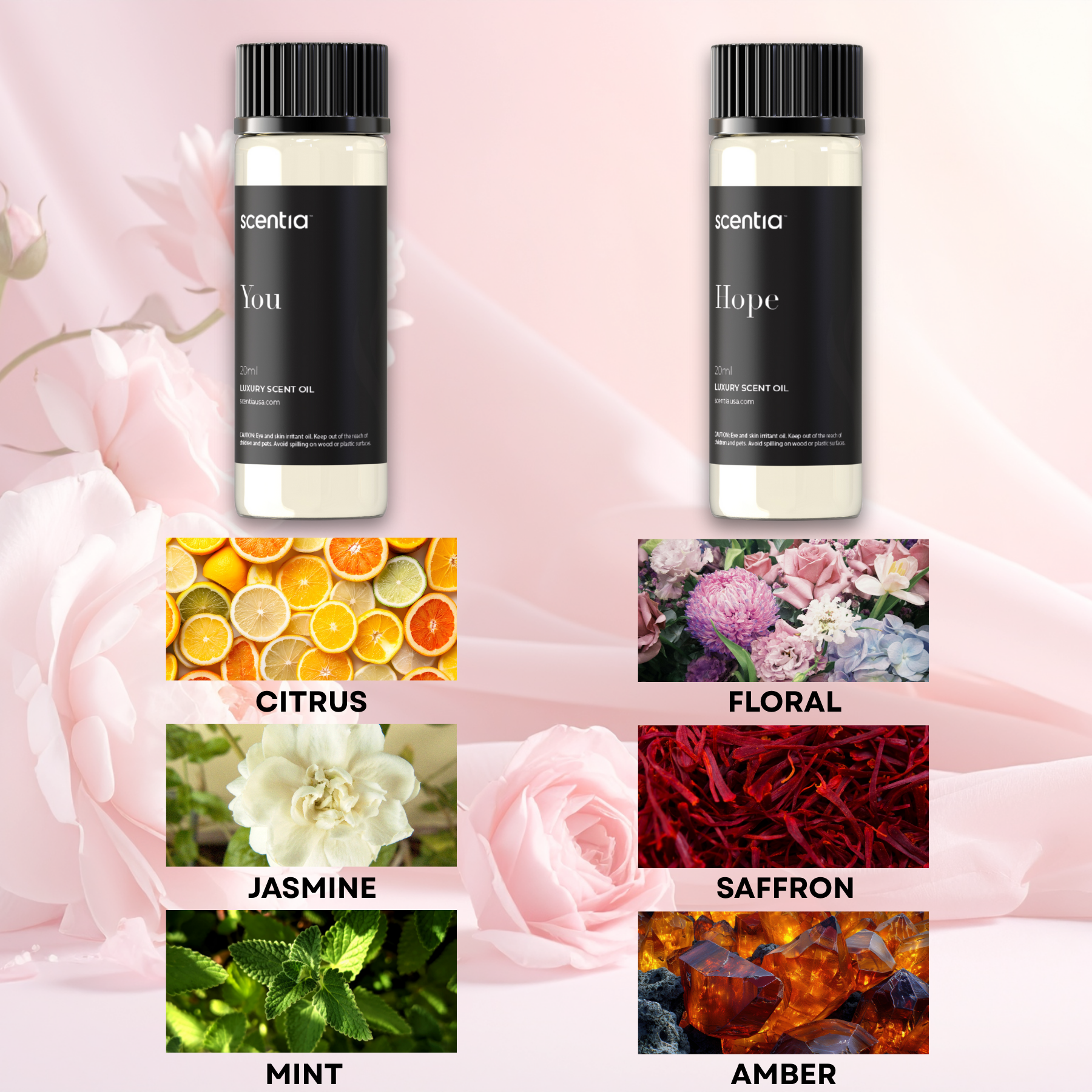 Valentine Special : Scentia Pod with Two Oil Set