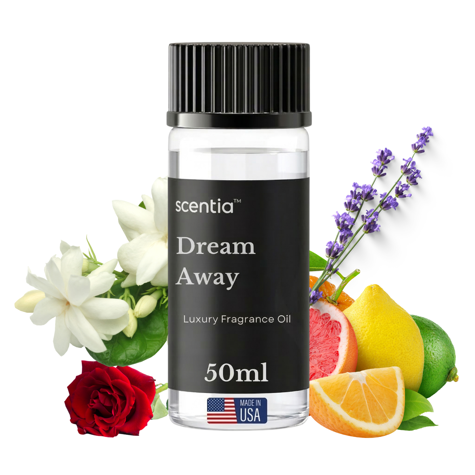 Dream Away