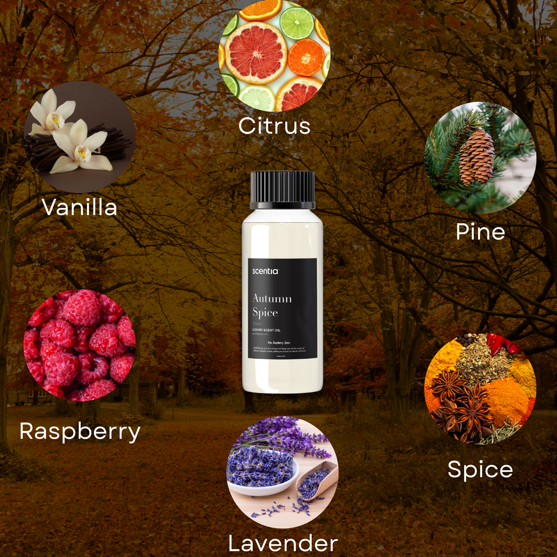 Autumn Spice