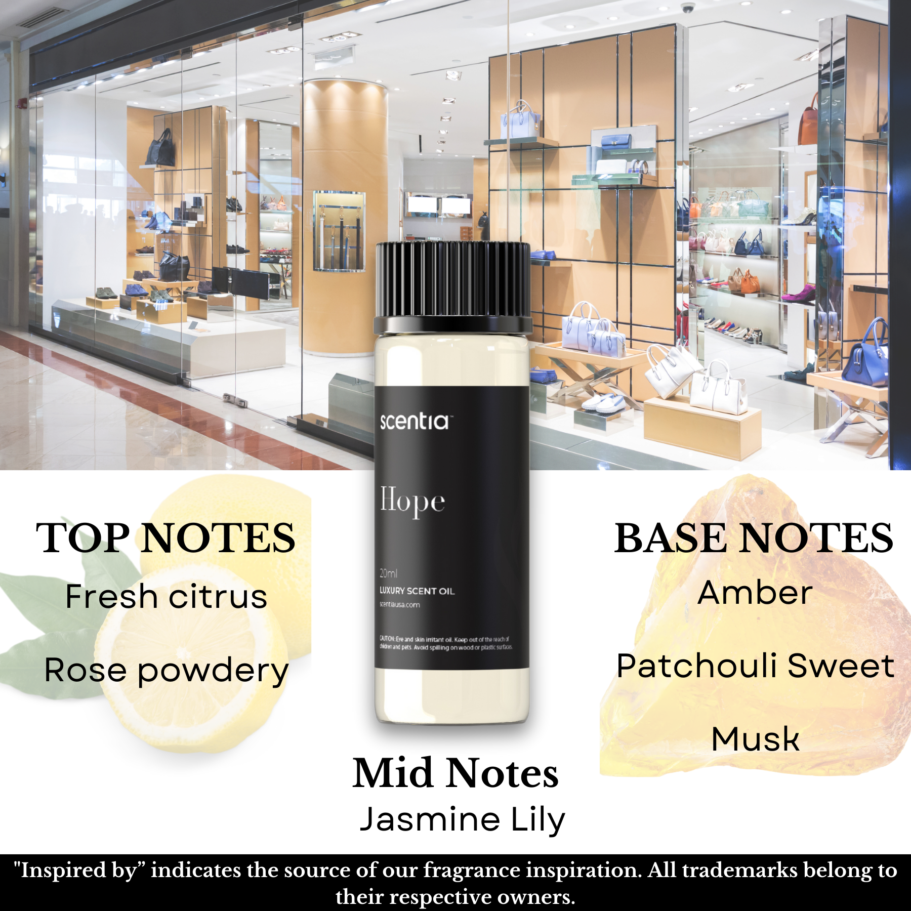 Designer Collection Scent Oil Sample Kit