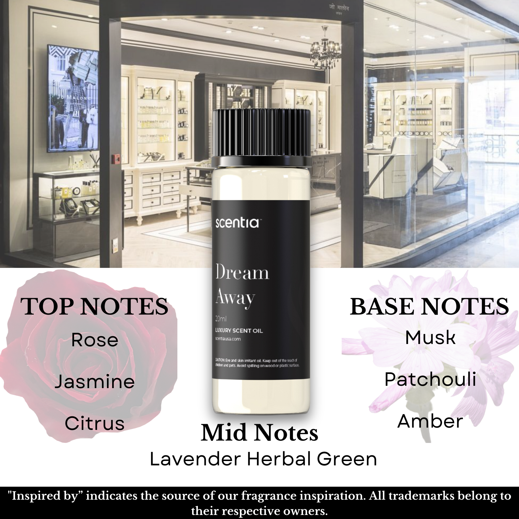Designer Collection Scent Oil Sample Kit