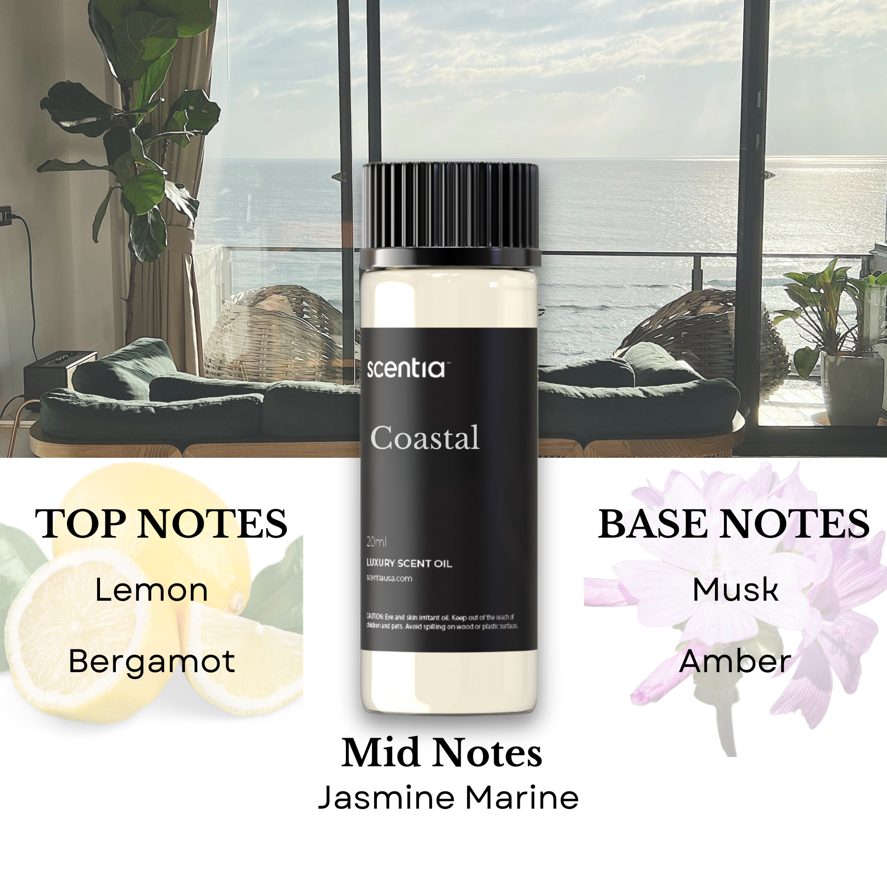 Top 3 Resort Inspired Samples- Signature Set 1