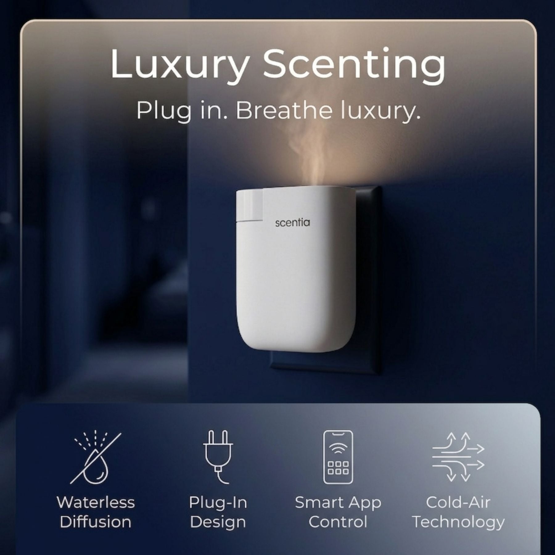 Graduation Gift Special: Scentia Pod & Signature Oil Set