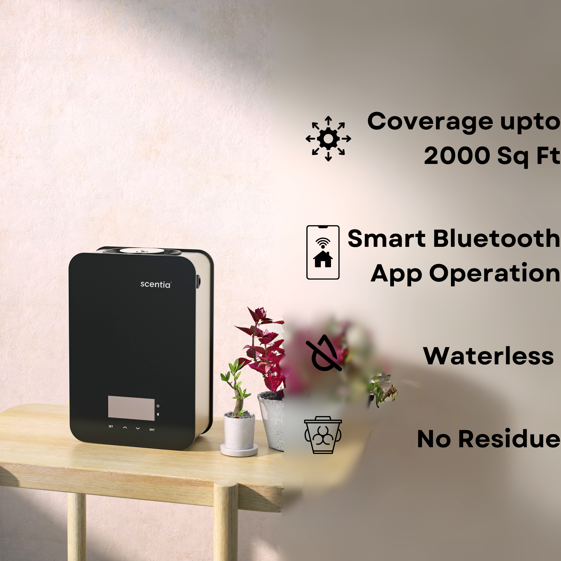 Scentia Casa For Home