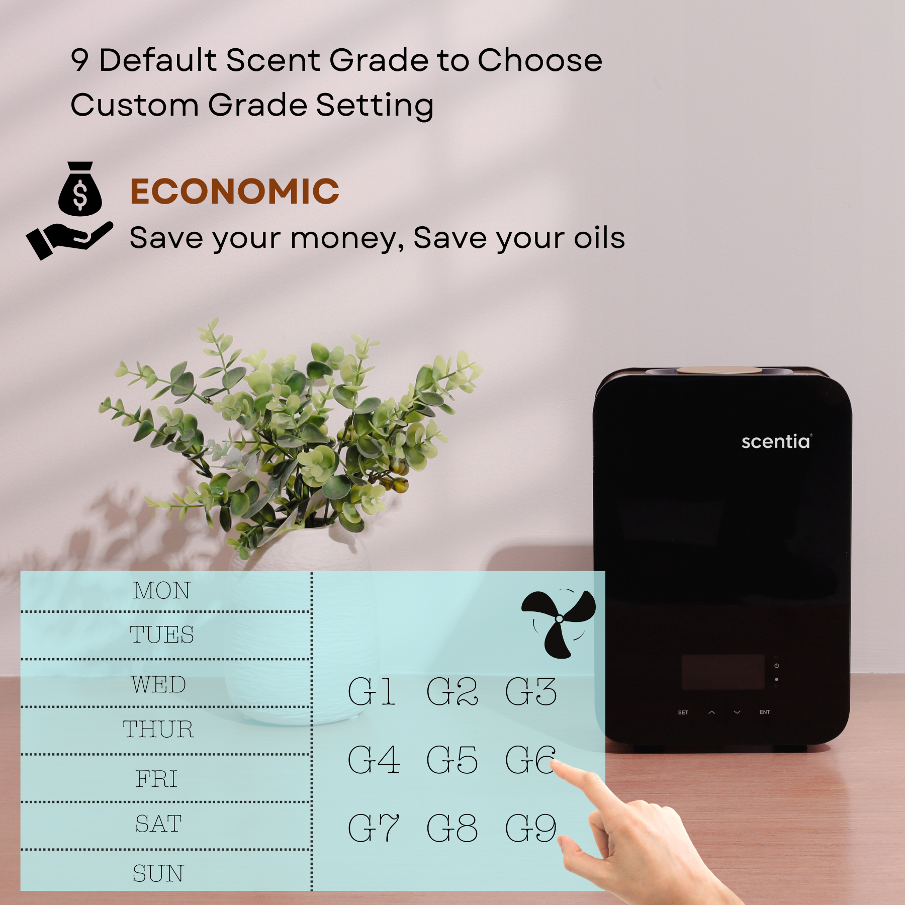 Scentia Casa Pro (SC 2000)