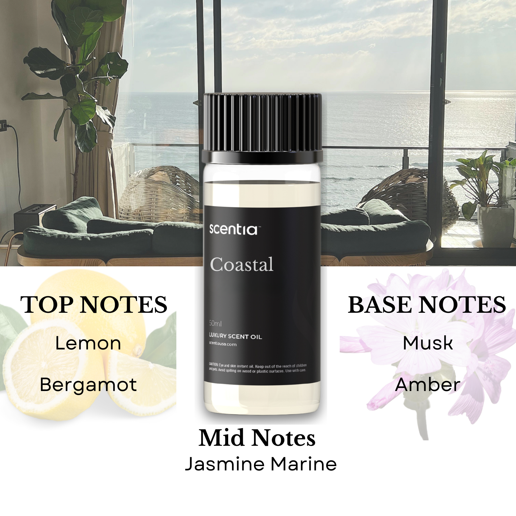 Luxury Resort Collection Kit (Pack Of 3X50ml)