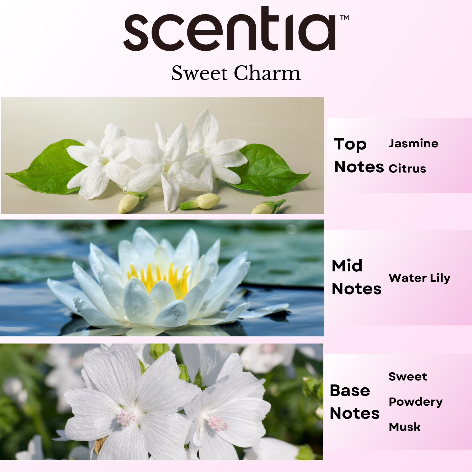 Love Collection Scent Oil Sample Kit 3X20ml