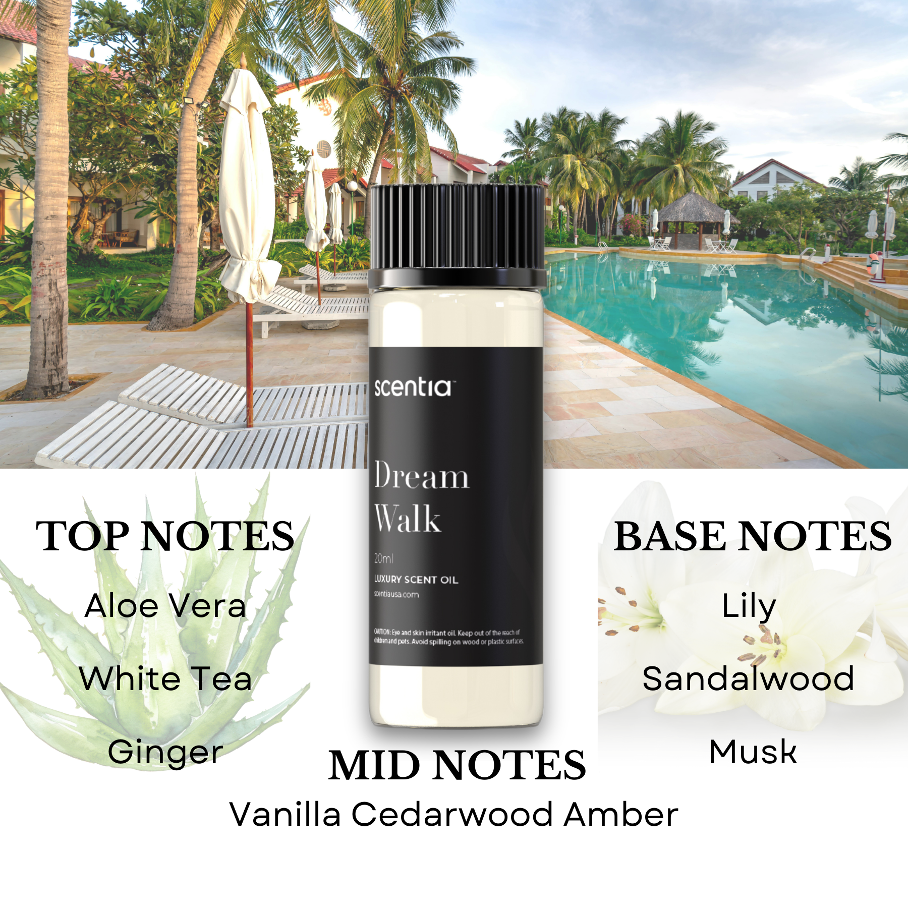 Top 5 Resort Inspired Samples- Signature Set