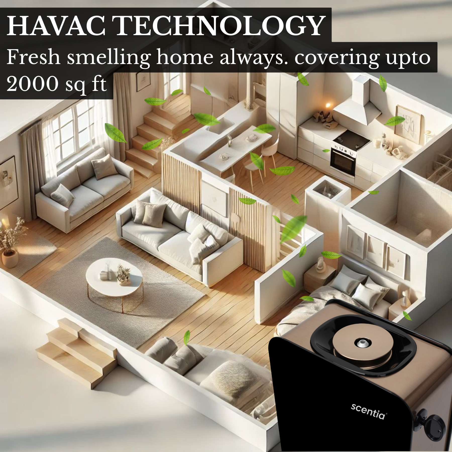 Scentia Casa For Home