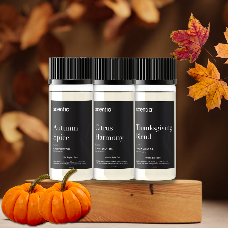 Fall Collection Scent Oil Discovery Kit 3X50ml