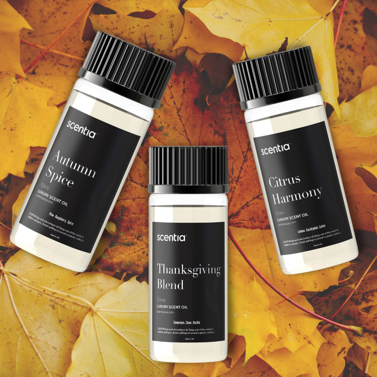 Fall Collection Scent Oil Discovery Kit 3X50ml