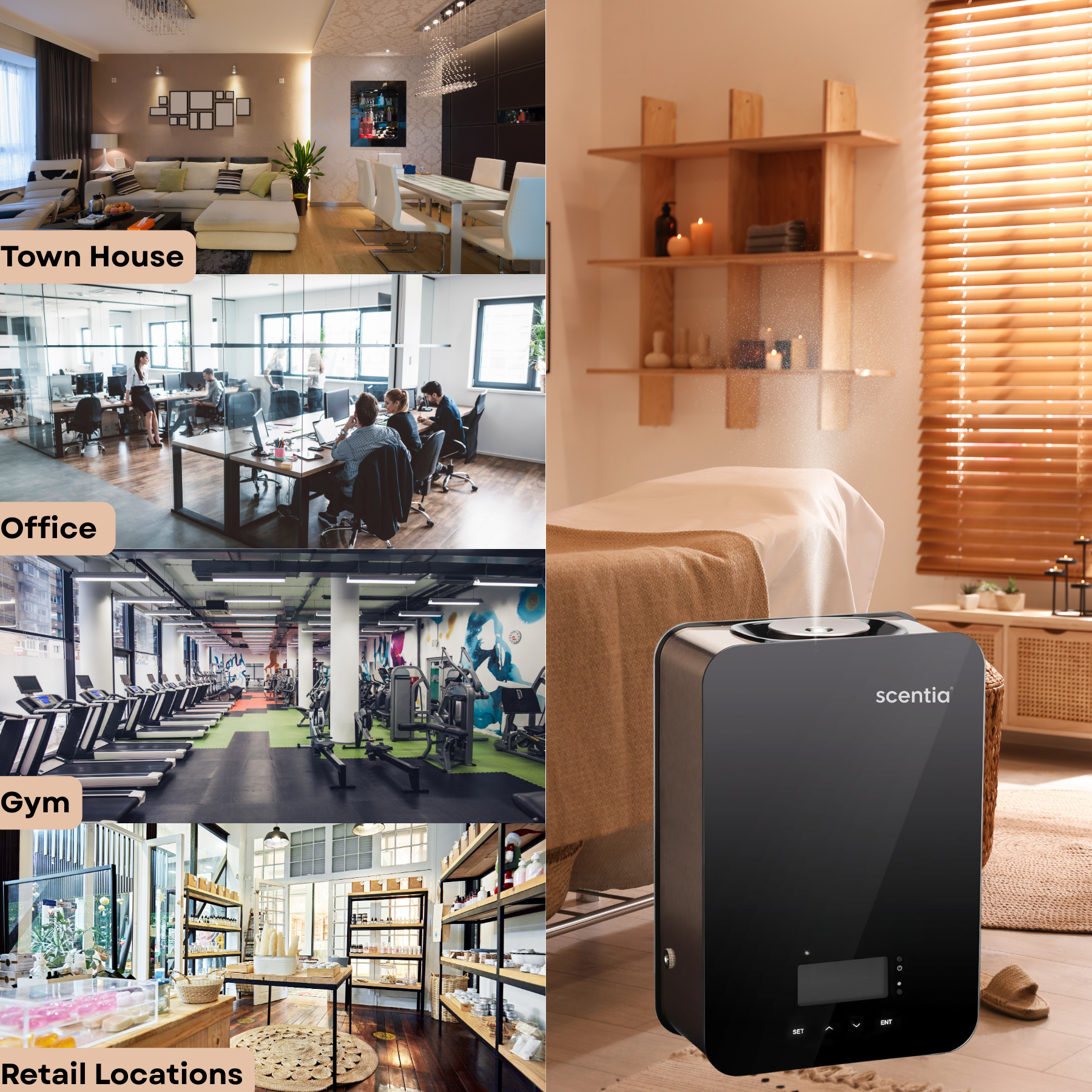 Scentia Casa Pro (SC 2000)