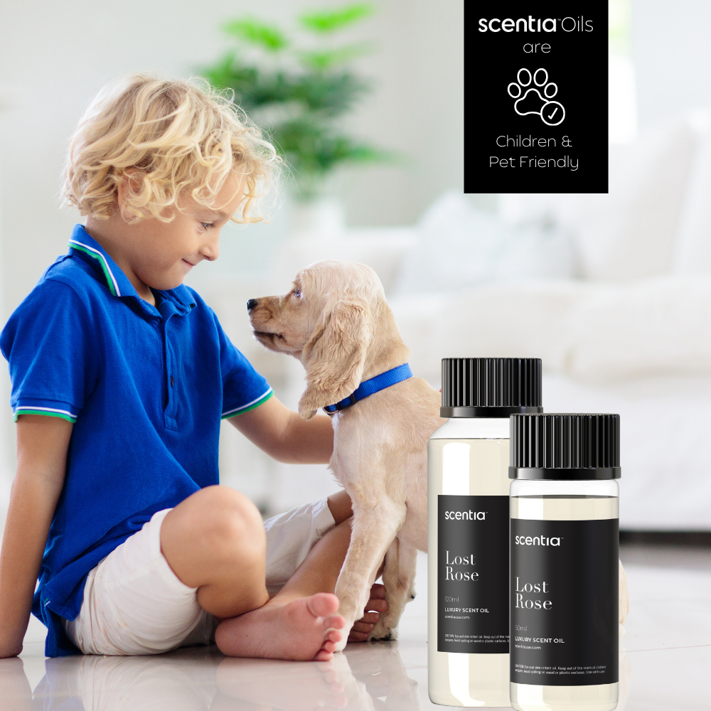 120ML