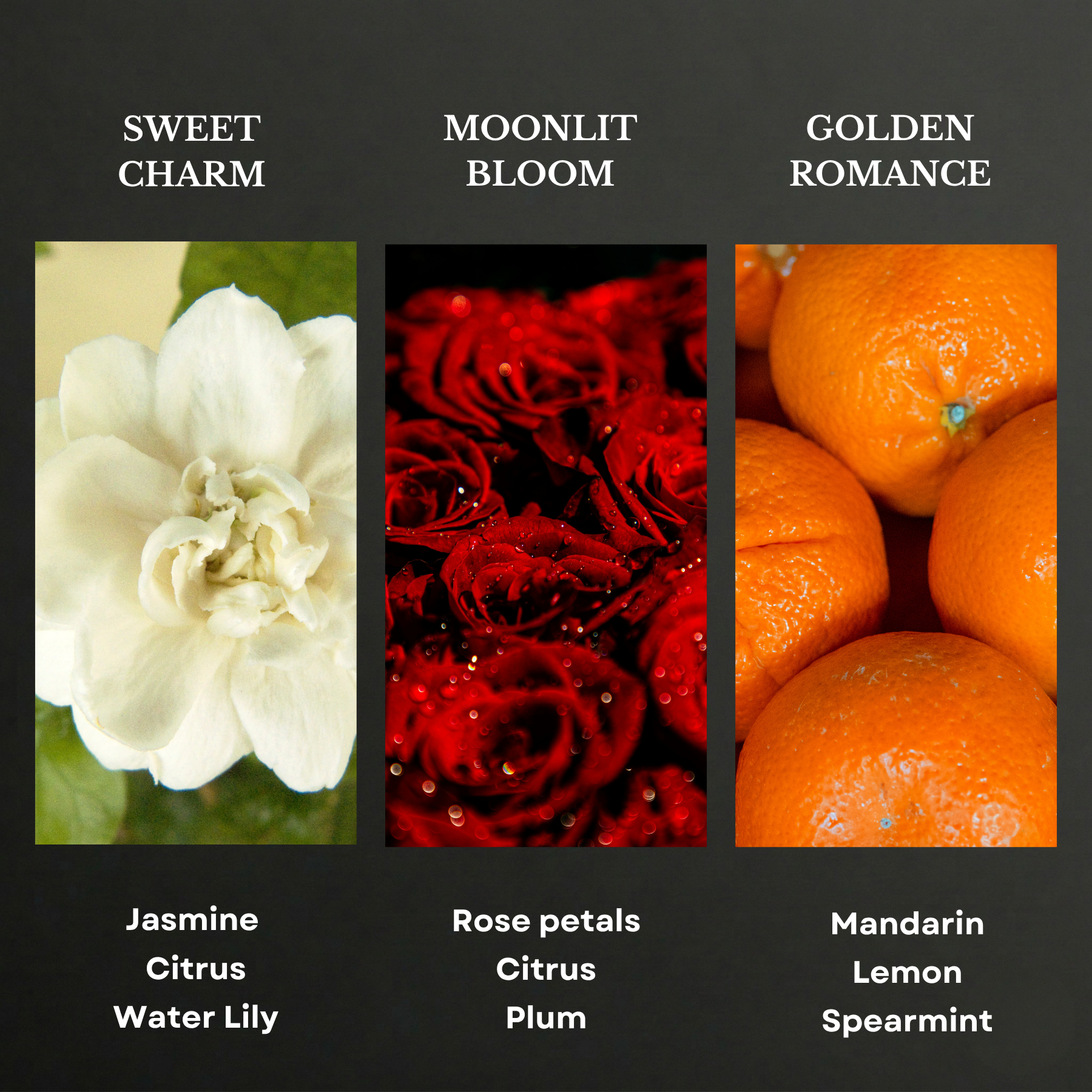 Love Collection Scent Oil Sample Kit 3X20ml