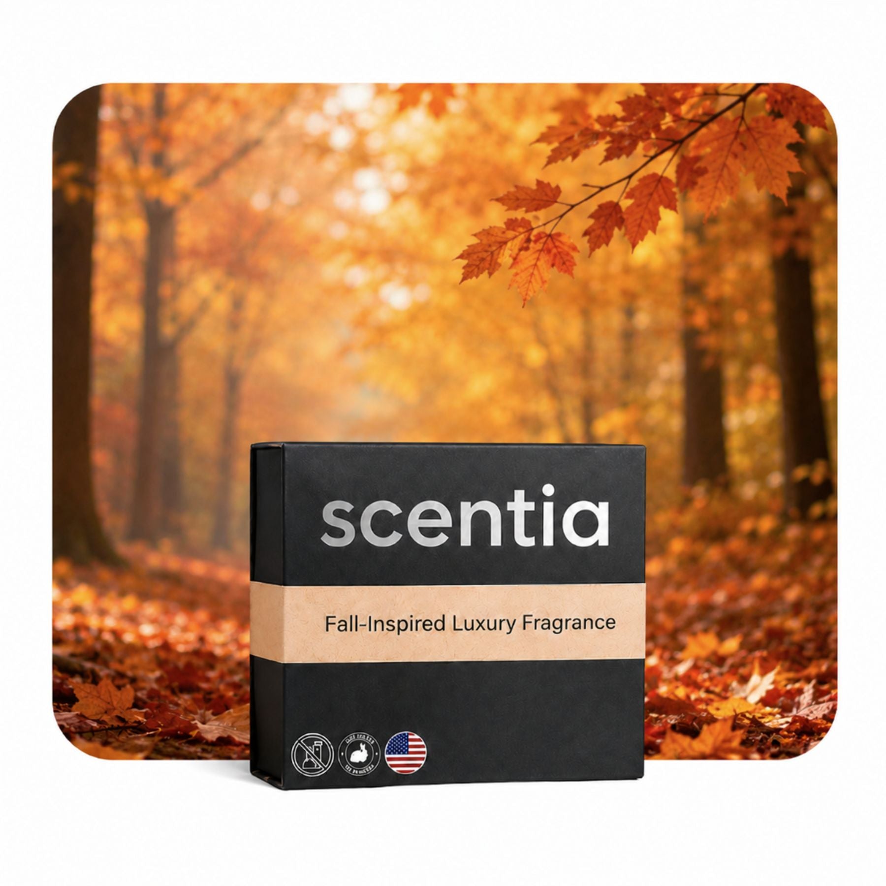 Fall Collection Scent Oil Discovery Kit 3X50ml