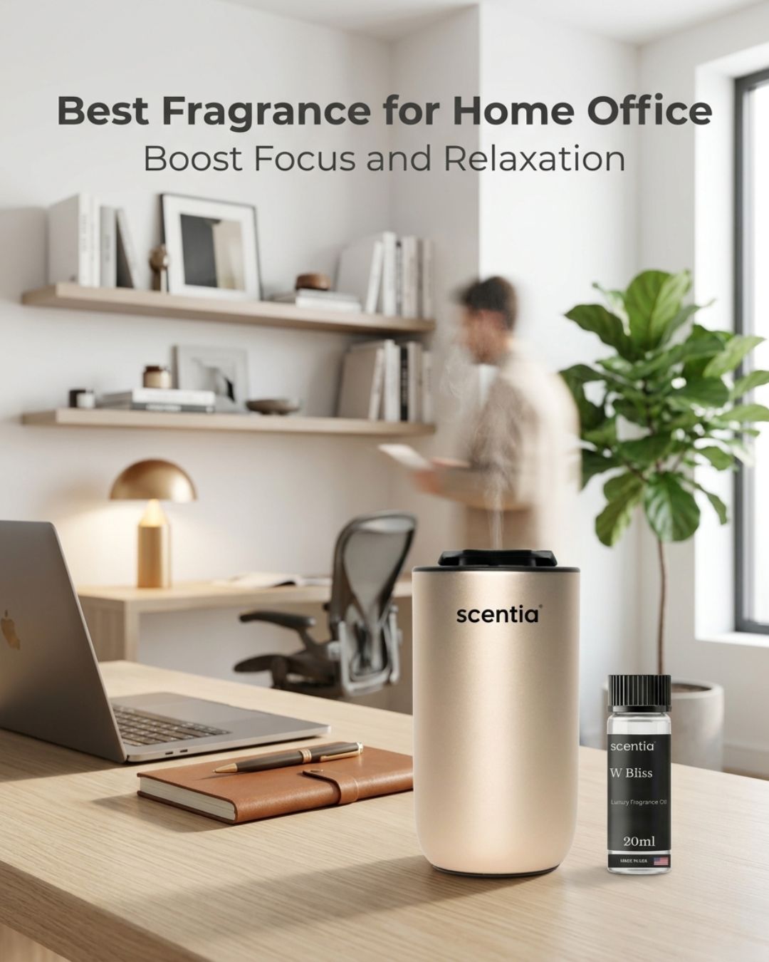 Best Fragrance for Home Office
