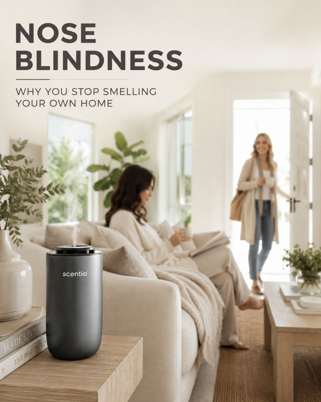 Nose Blindness: Why You Stop Smelling Your Own Home