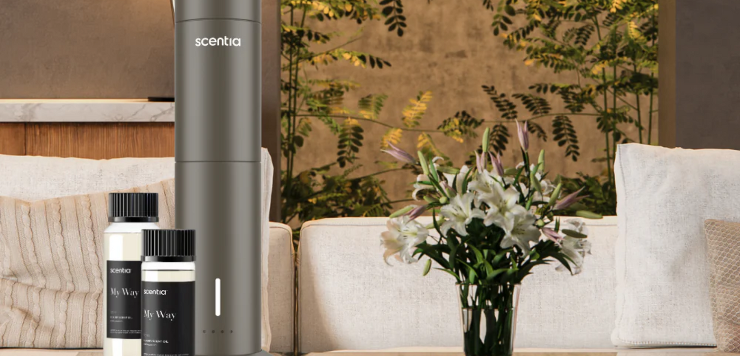 Transform Your Home with My Way Diffuser’s Exquisite Aroma Journey