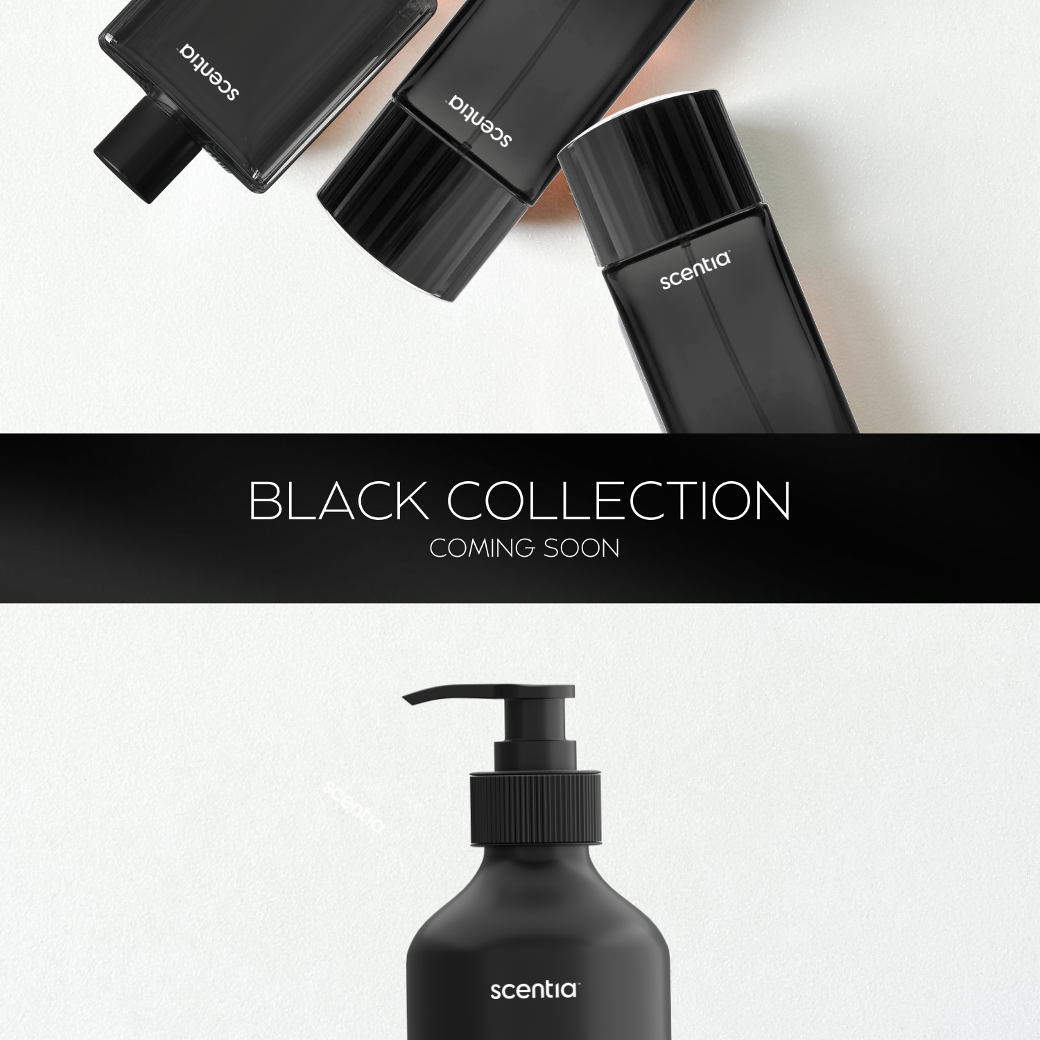 Scent Black Collection