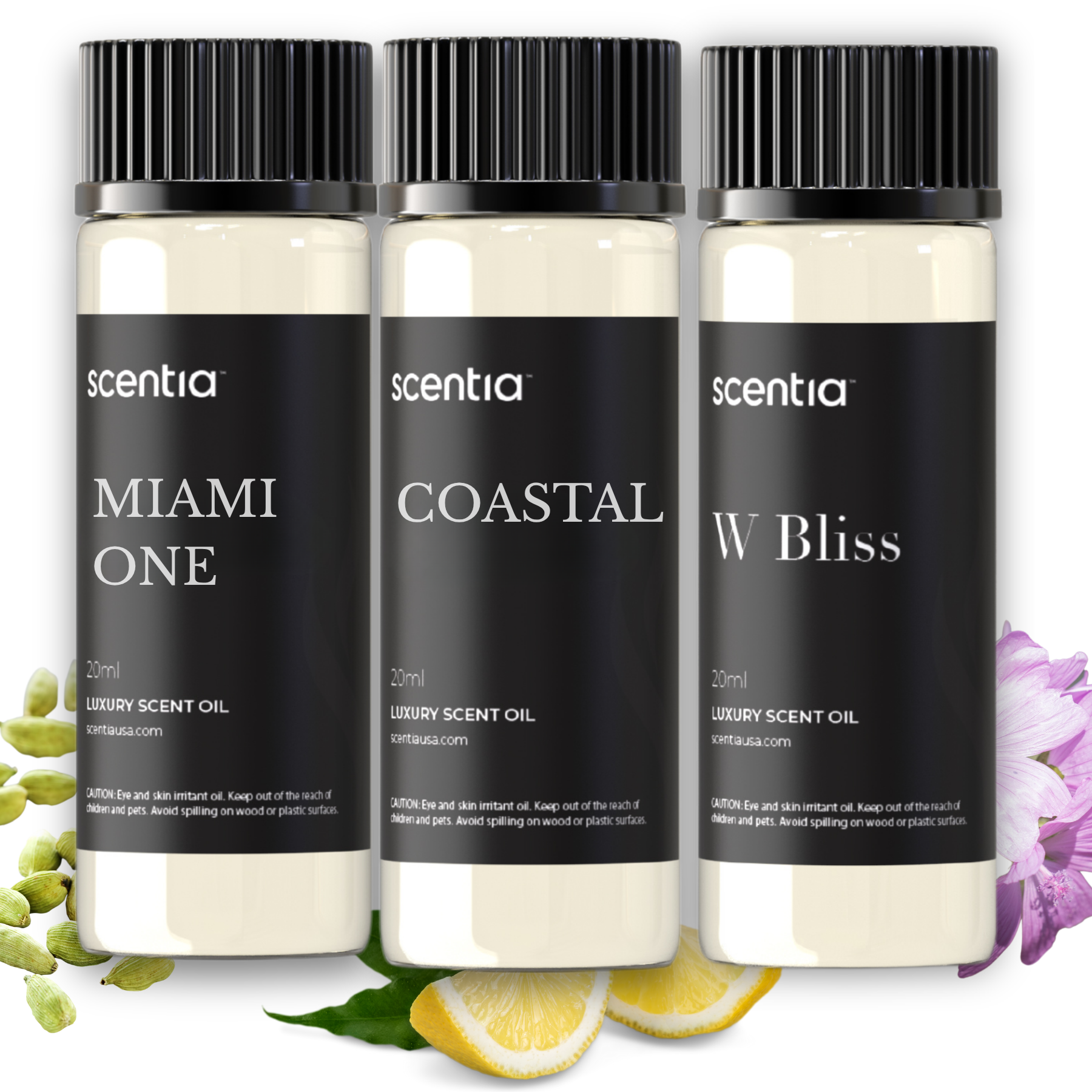 Top 3 Resort Inspired Samples- Signature Set 1