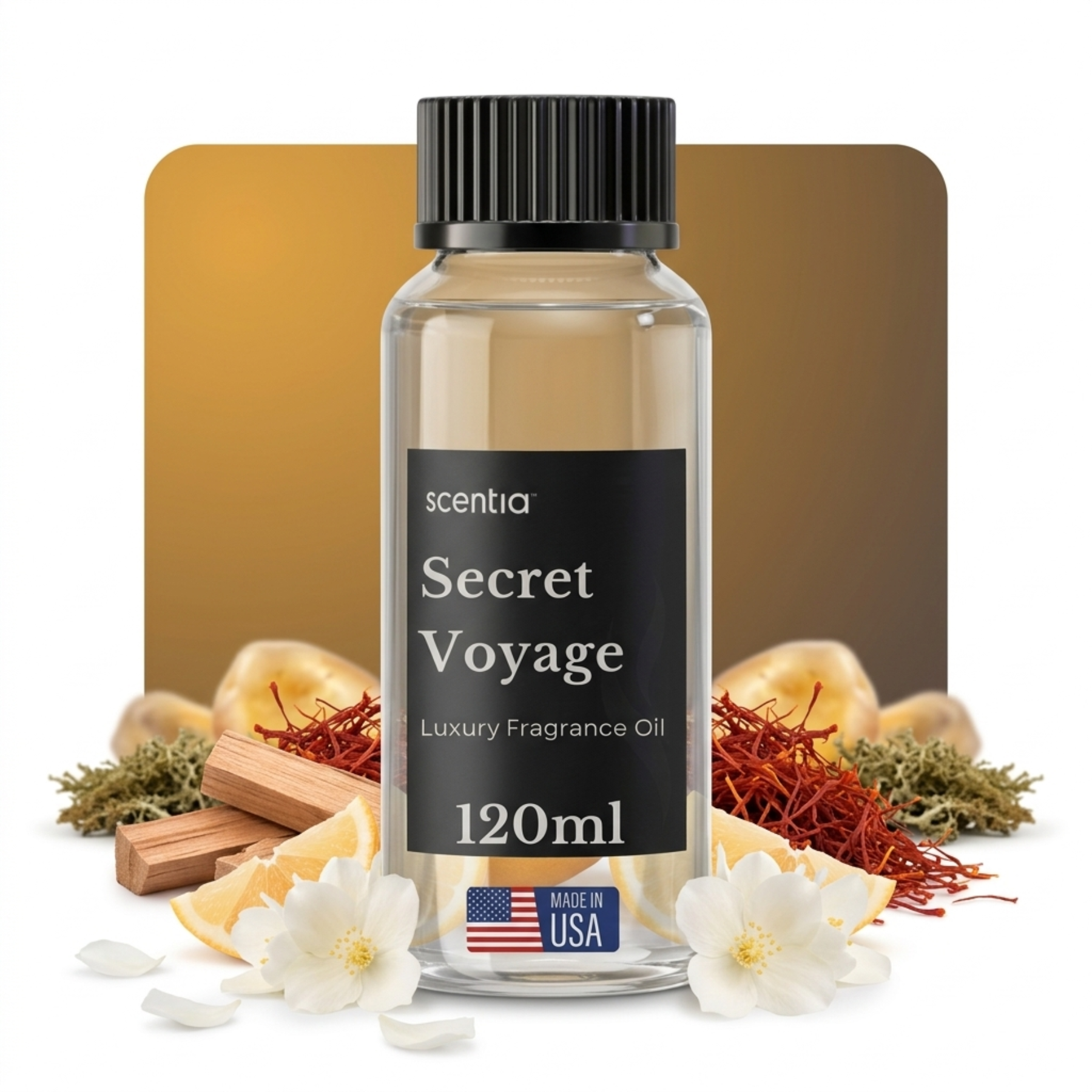 Secret Voyage