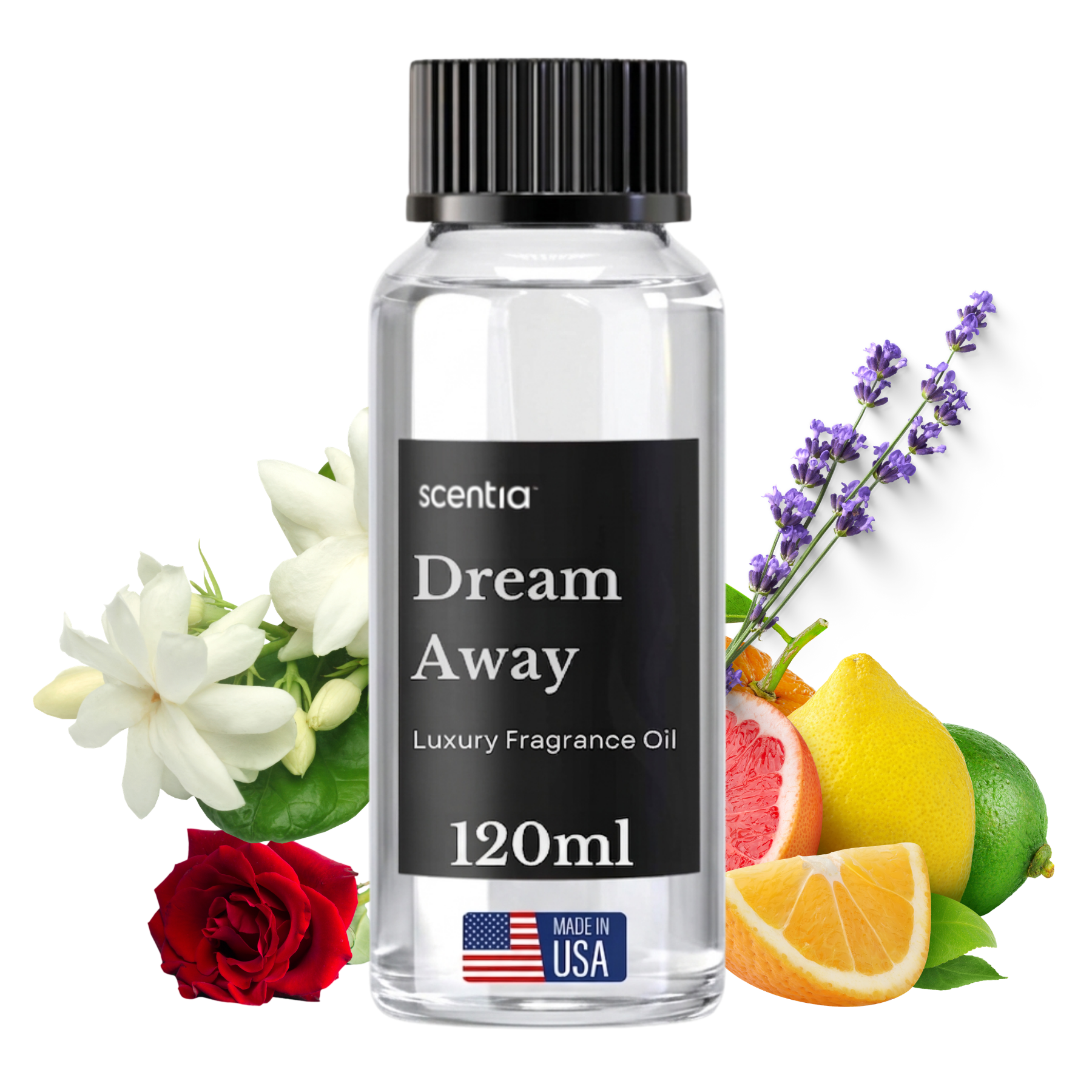 Dream Away