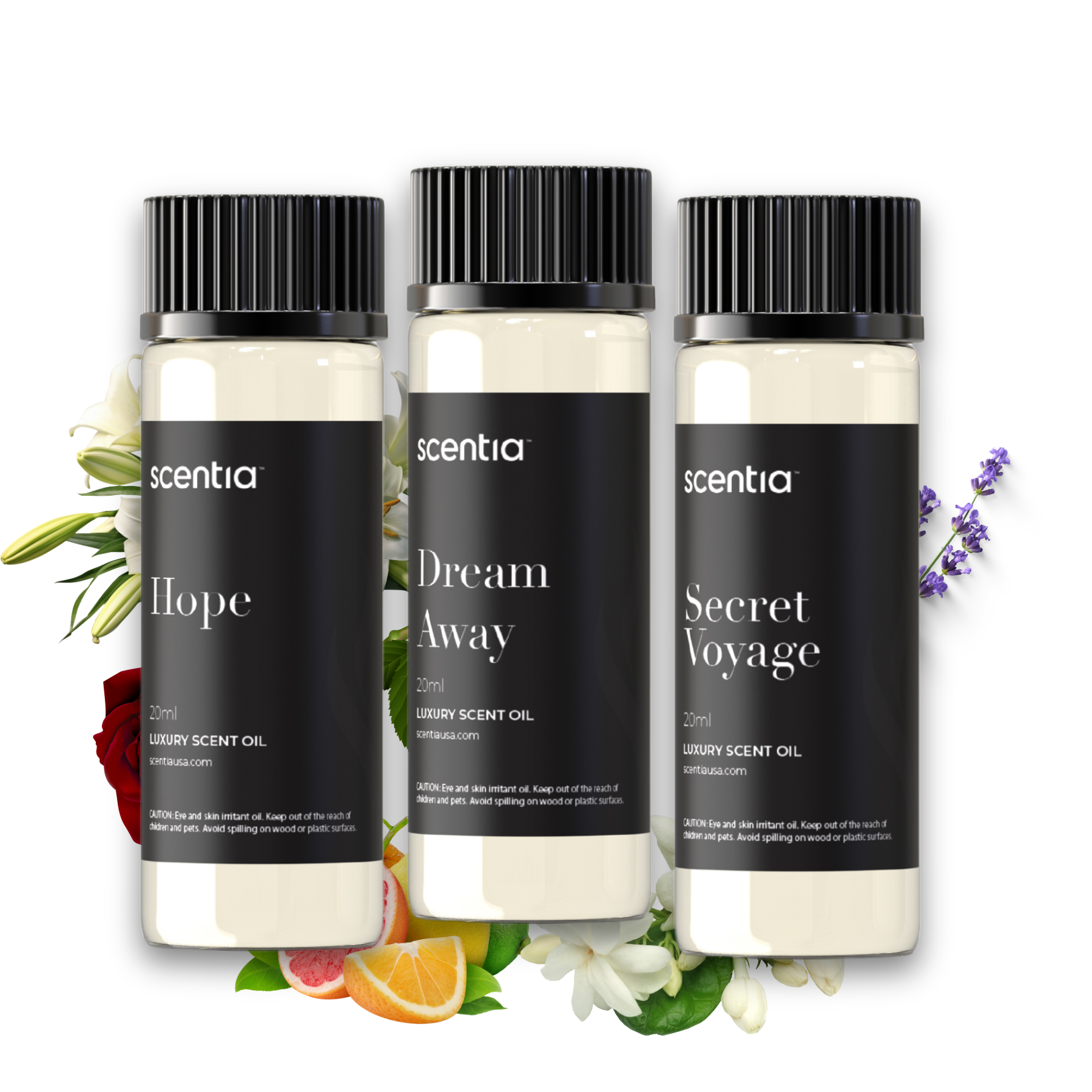 Designer Collection Scent Oil Sample Kit