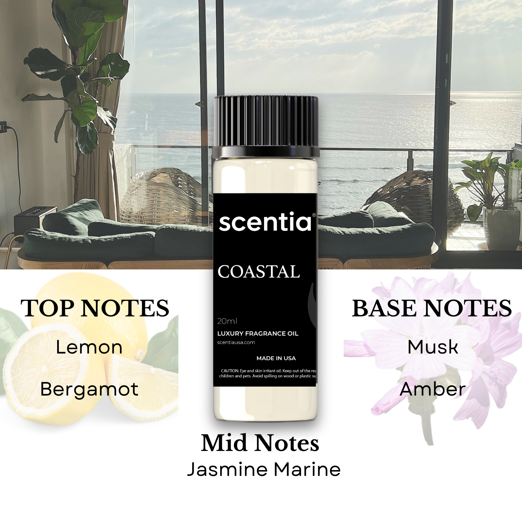 Top 3 Resort Inspired Samples- Signature Set 1