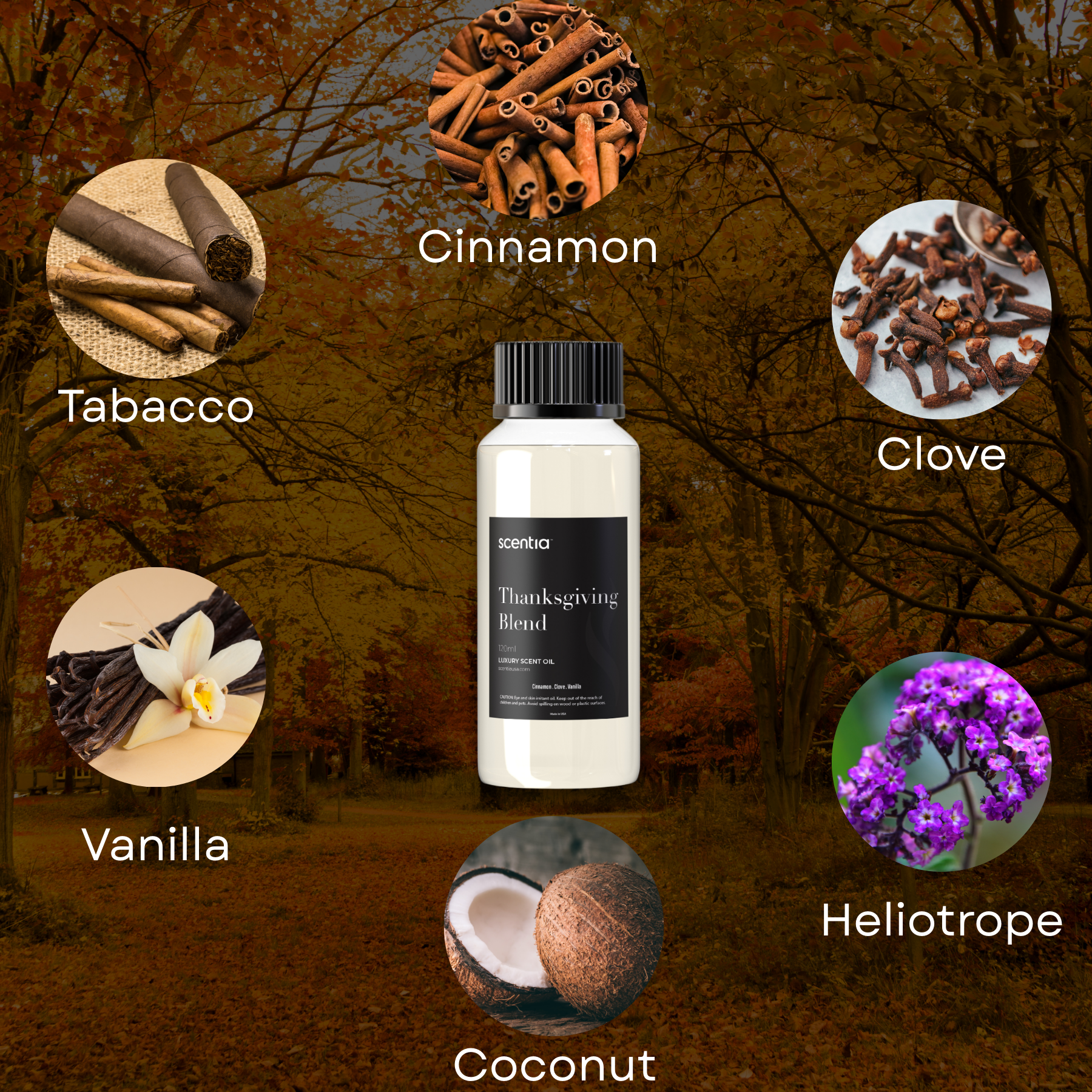 Thanksgiving Blend