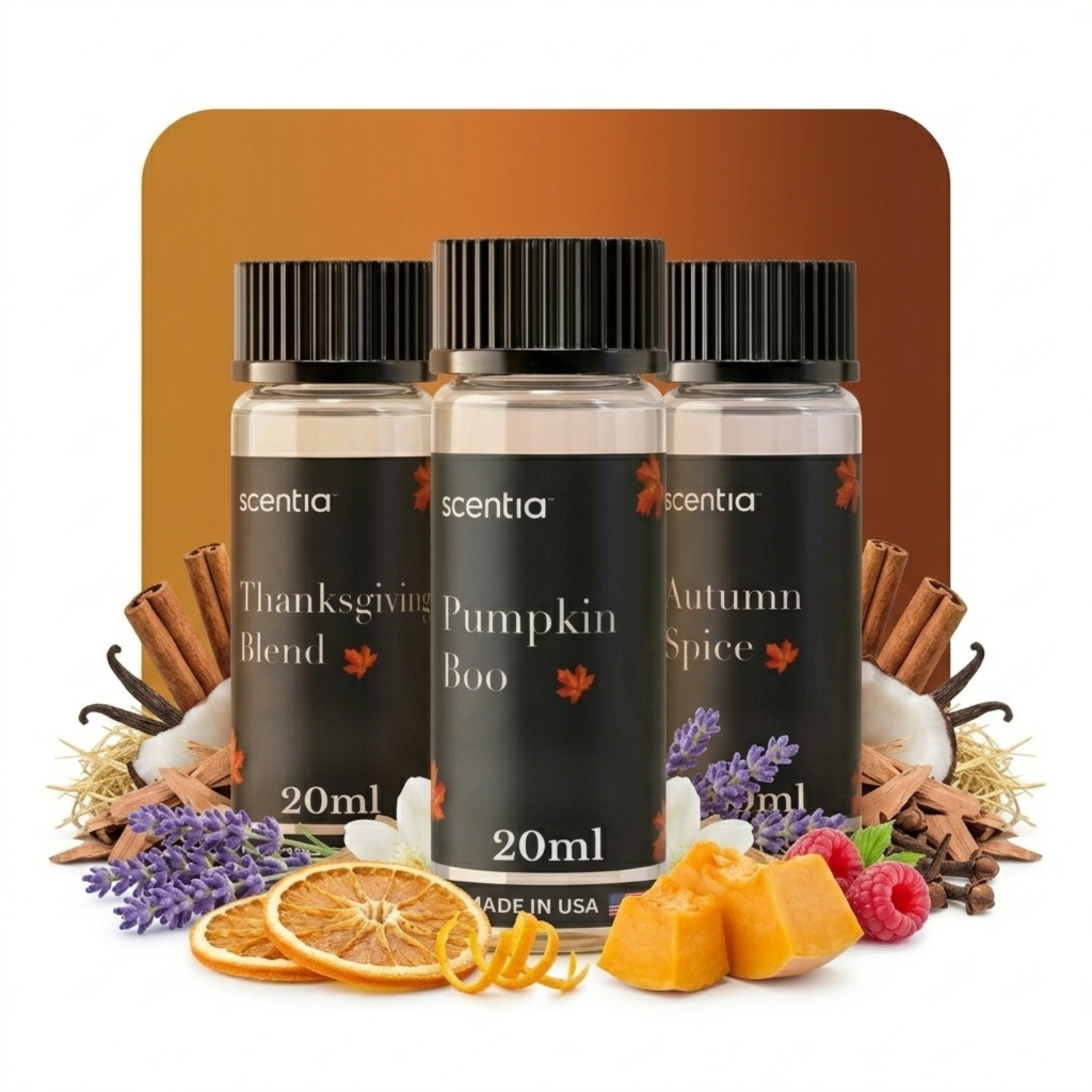 Fall Collection Scent Oil Sample Kit 3X20ml