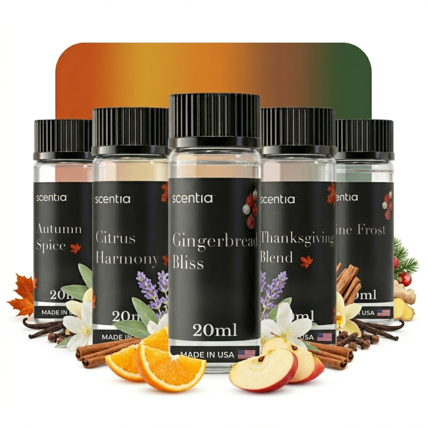 Holiday Collection Scent Oil Sample Kit (Pack of 5)