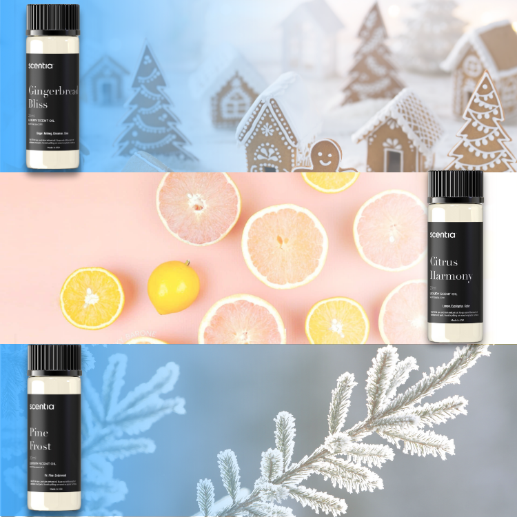 Holiday Collection Pack of 3 Oils