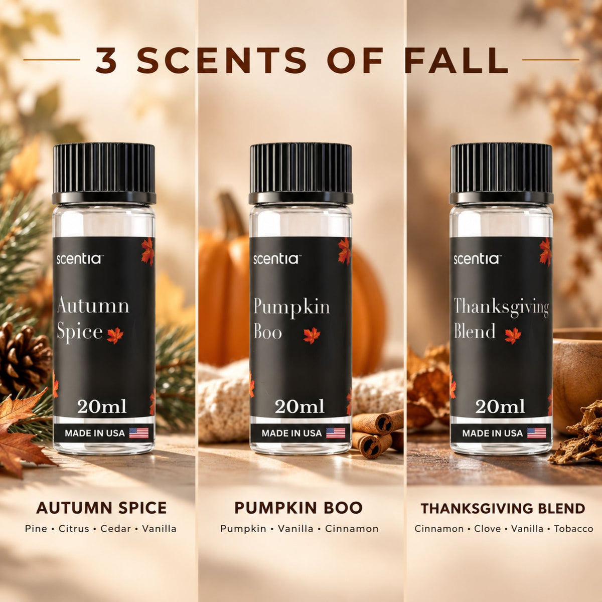 Six Scents of the Season: 3 Fall Favorites + 3 Holiday Scents (6×20ml)