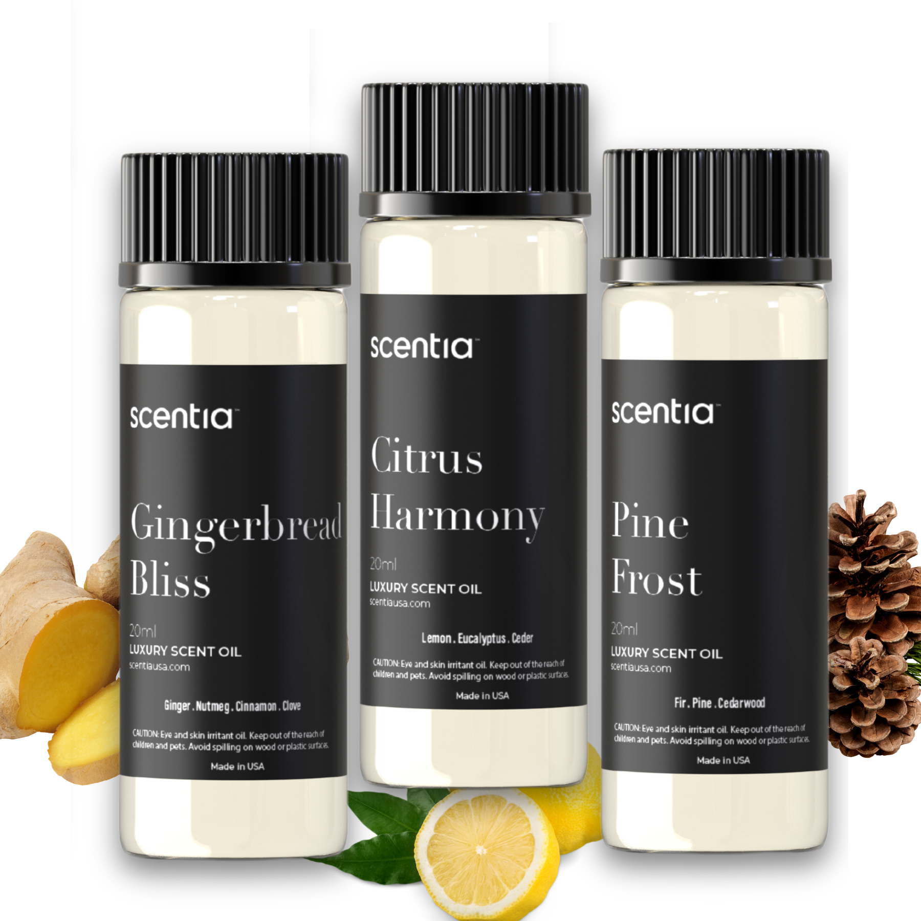 Holiday Collection Pack of 3 Oils