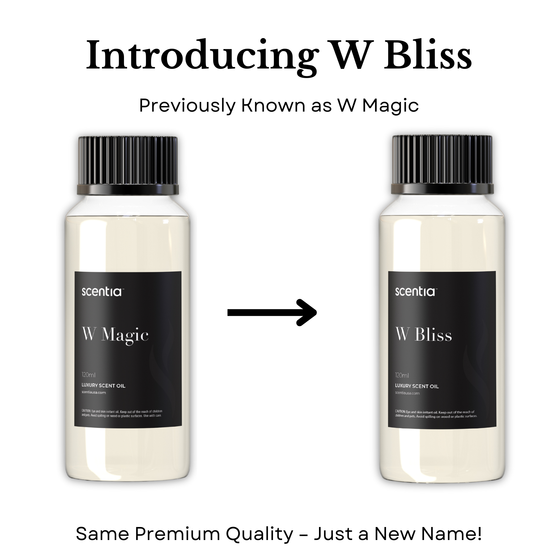 W Bliss