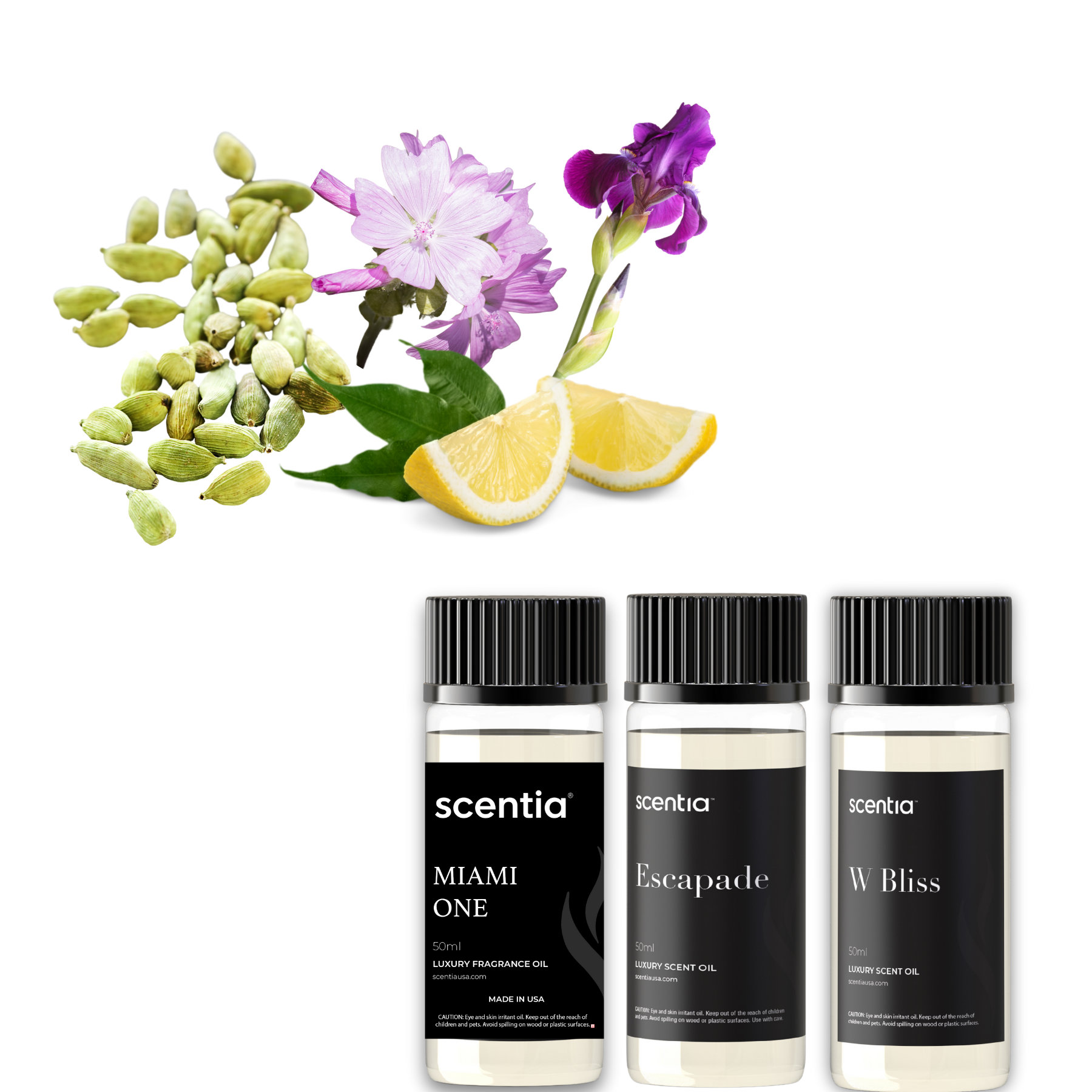Resort Inspired Discovery Kit (Pack Of 3X50ml)