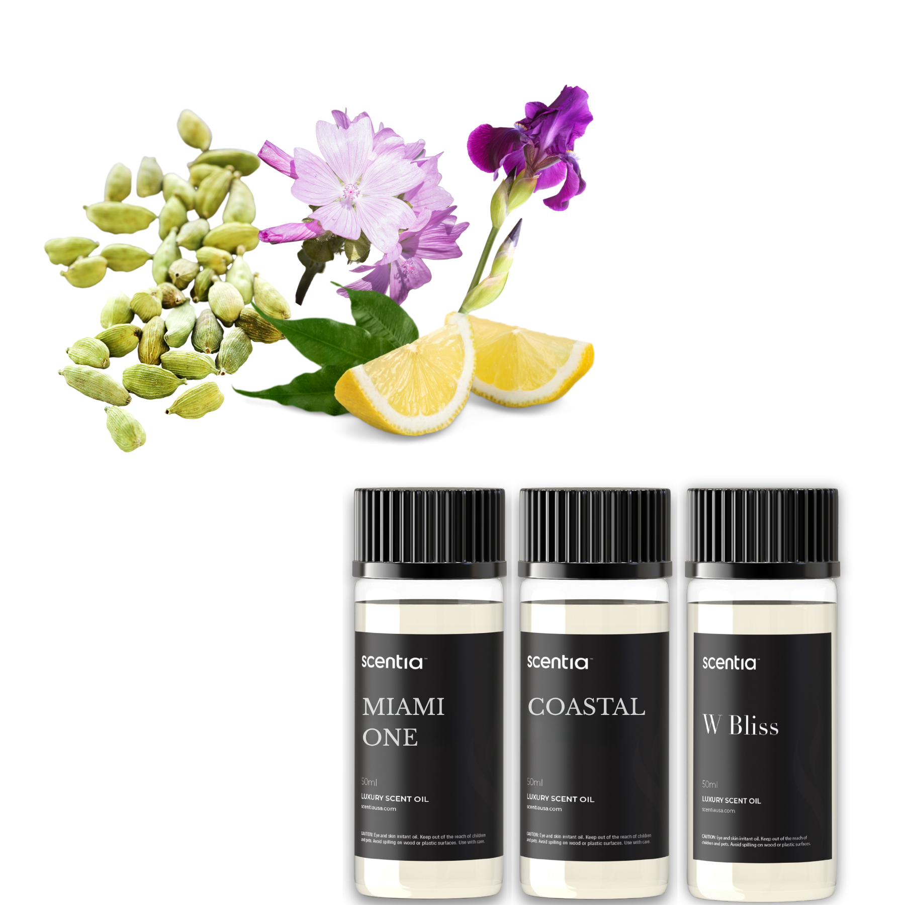 Luxury Resort Collection Kit (Pack Of 3X50ml)