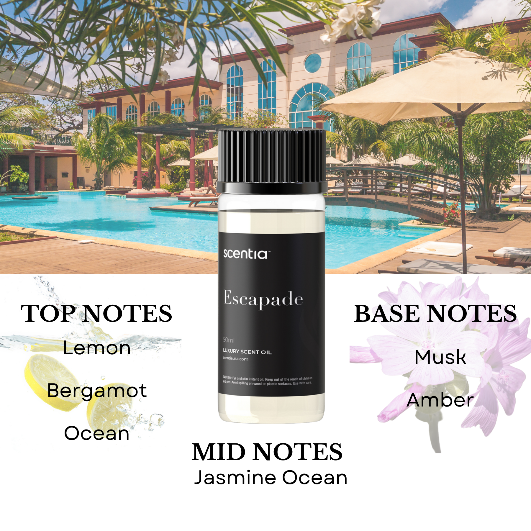 Resort Inspired Discovery Kit (Pack Of 3X50ml)