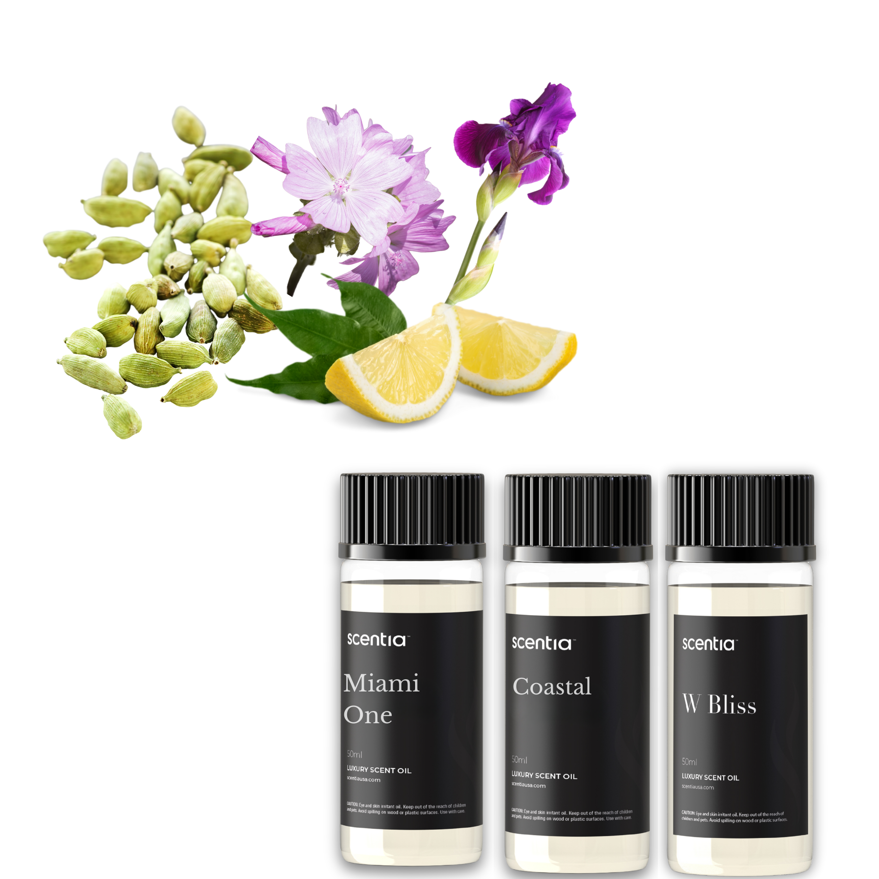 Luxury Resort Collection Kit (Pack Of 3X50ml)