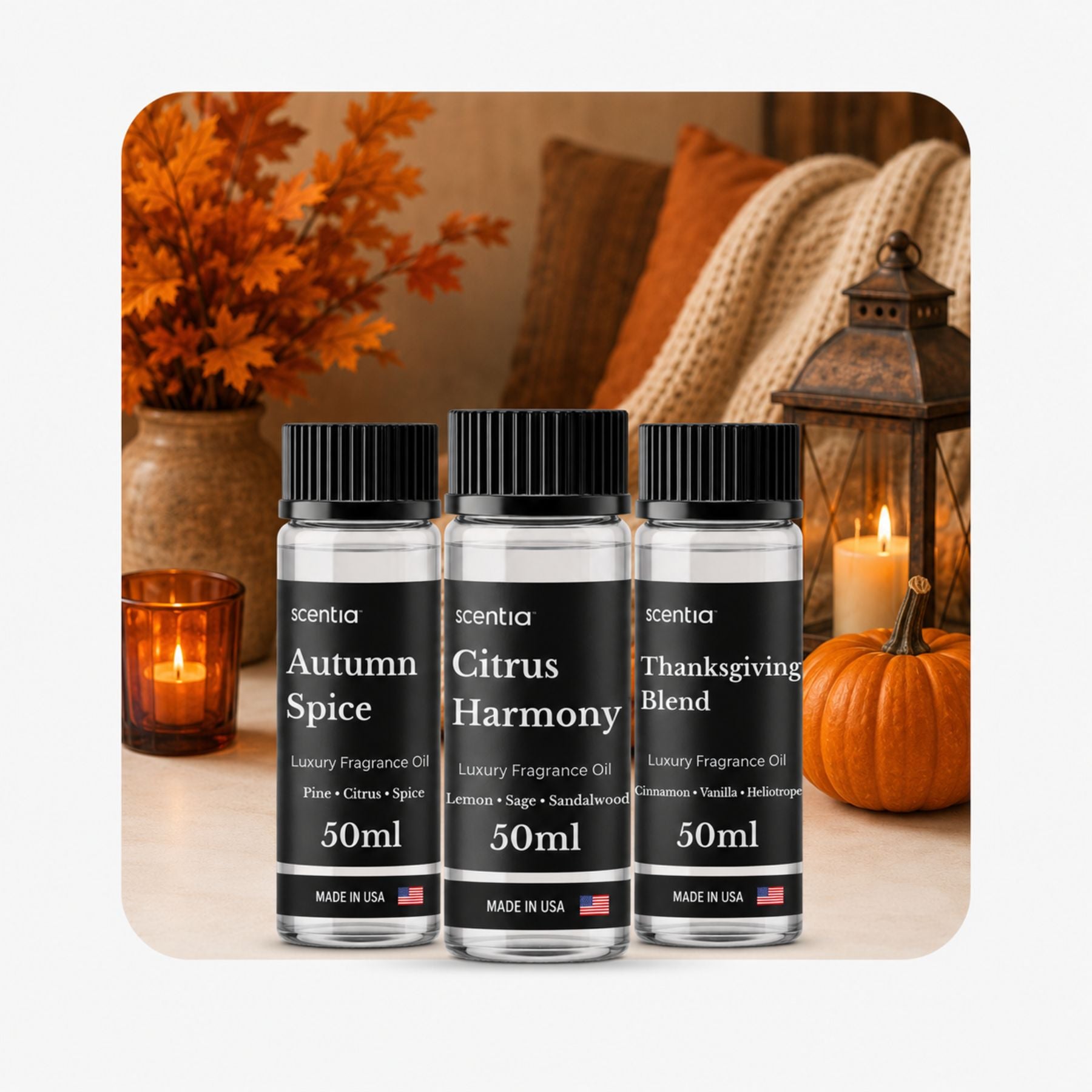 Fall Collection Scent Oil Discovery Kit 3X50ml