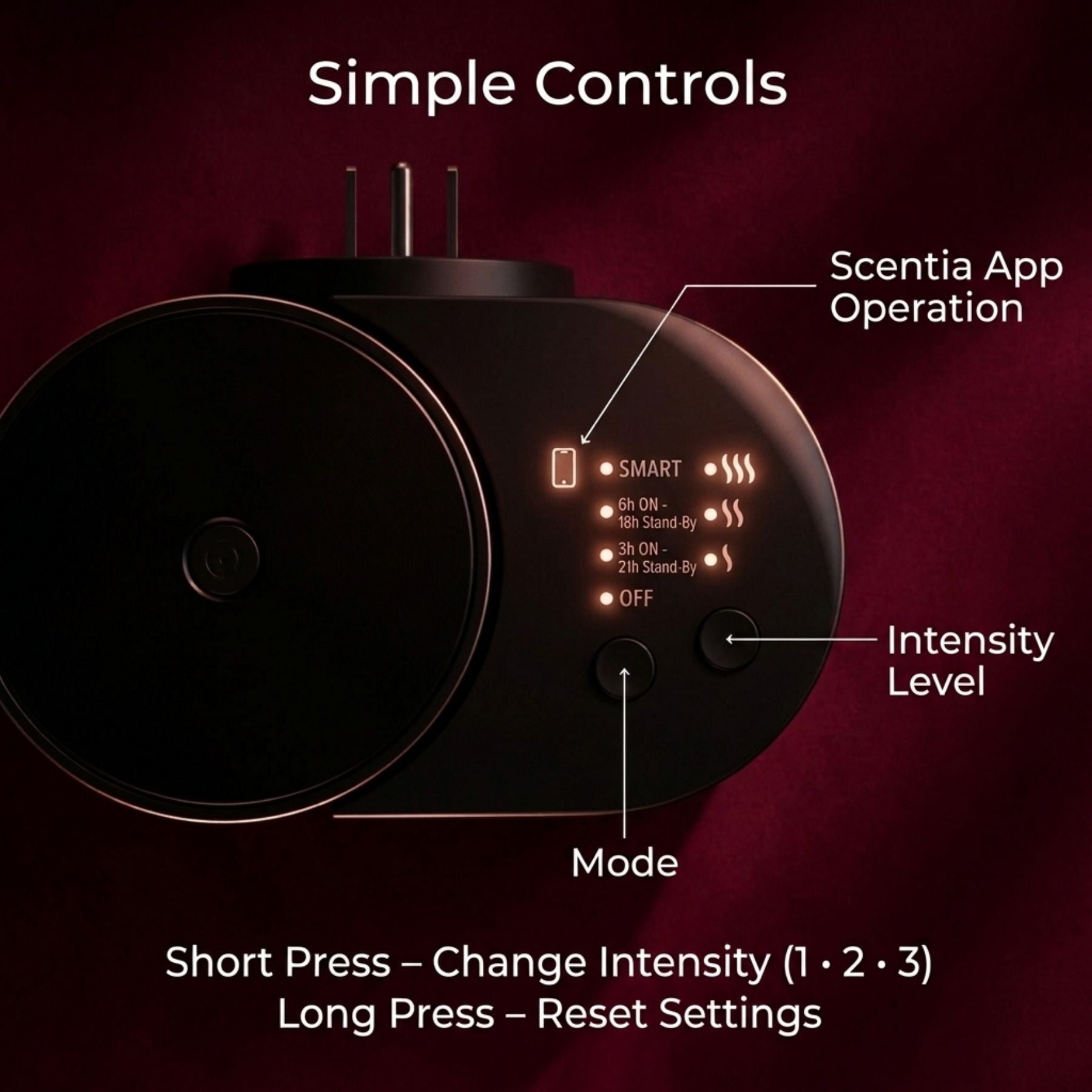 Valentine Special : Scentia Pod with Two Oil Set