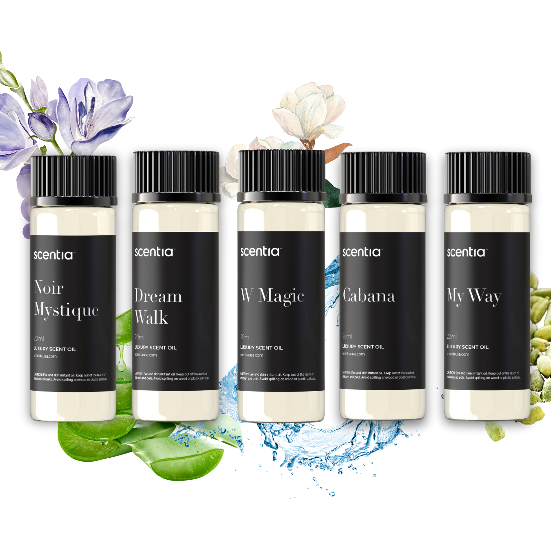Top 5 Hotel Inspired Samples- Signature Set