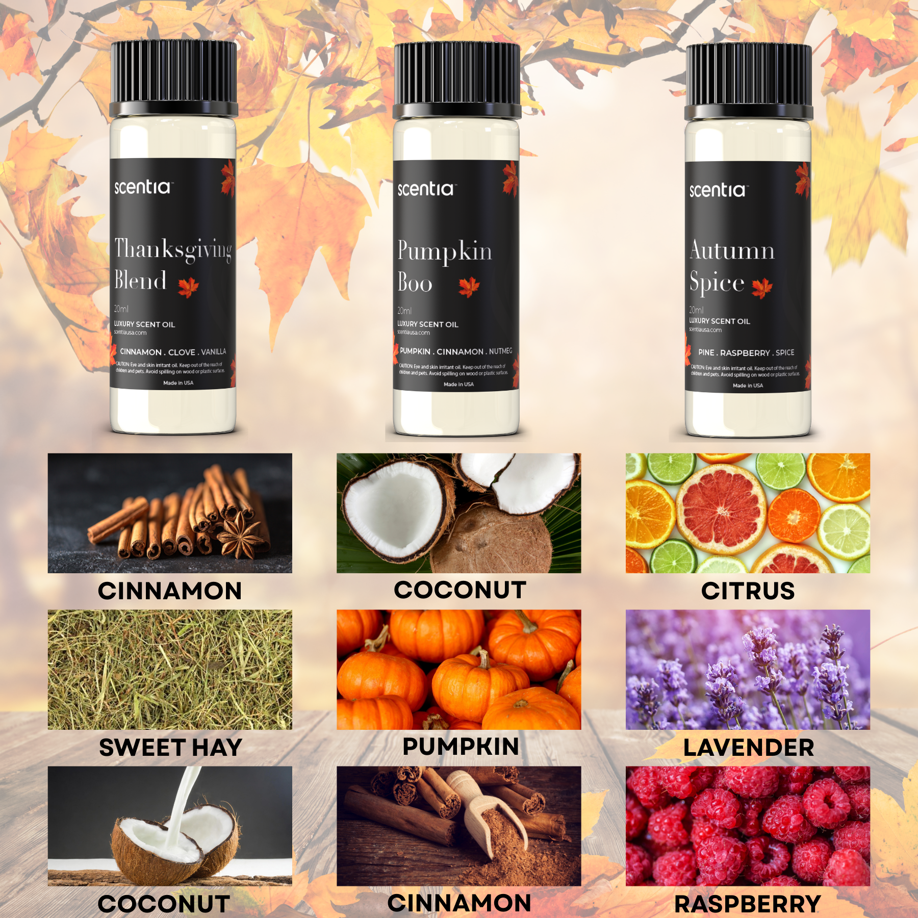Fall Collection Scent Oil Sample Kit 3X20ml