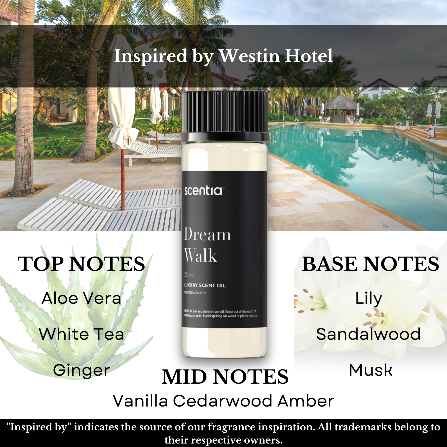 Top 5 Hotel Inspired Samples- Signature Set