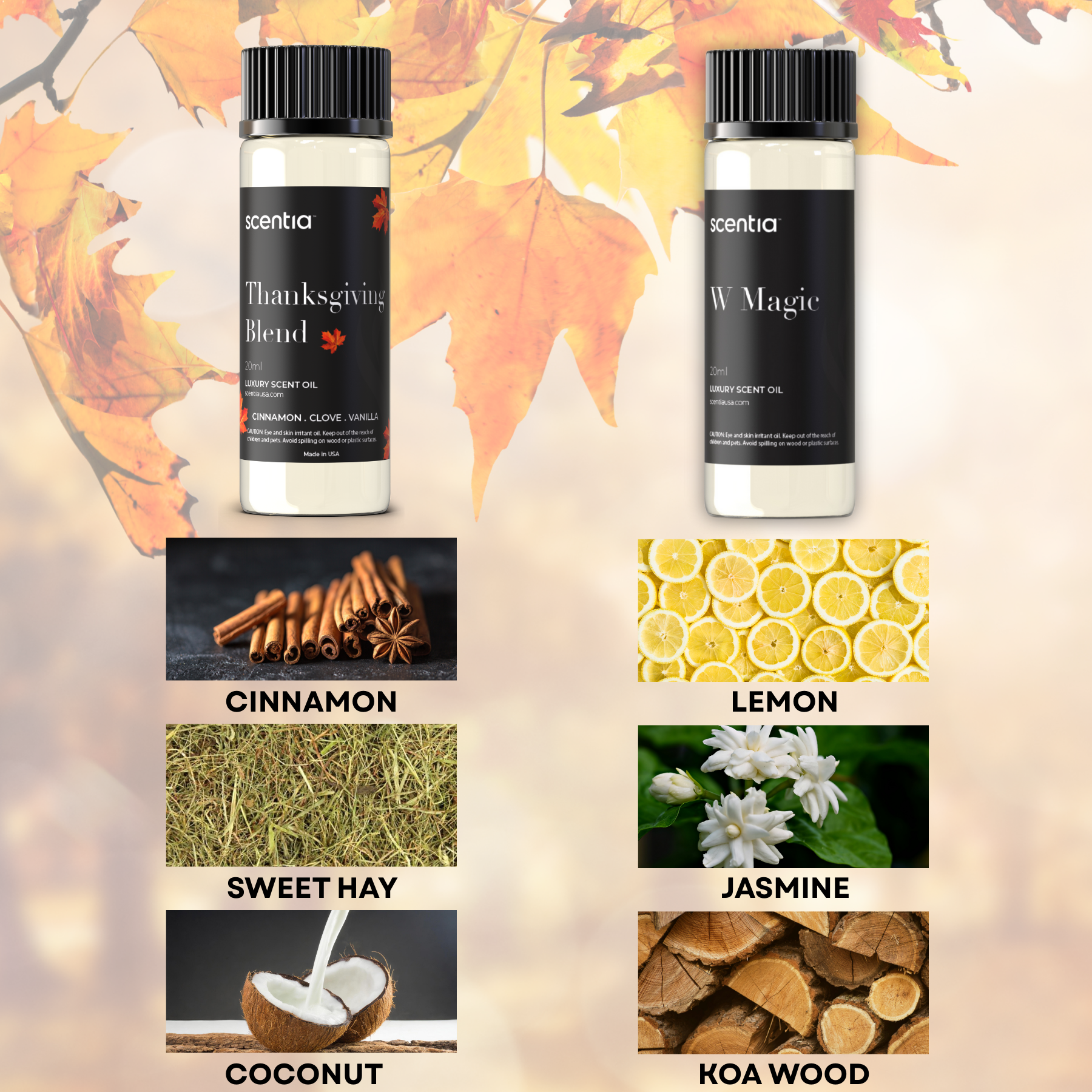 Fall Special : Scentia Pod with Two Oil Set