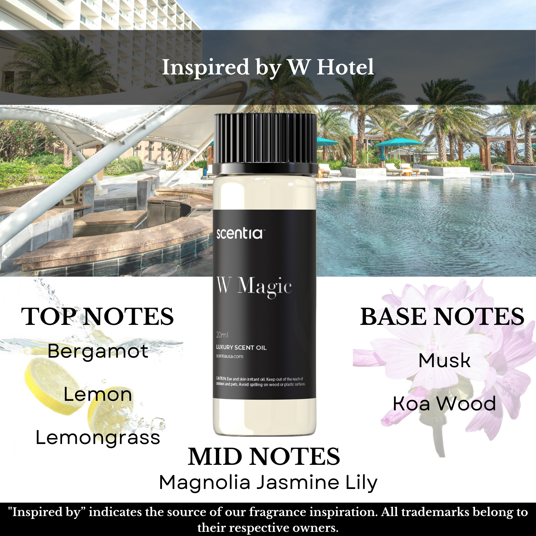 Top 5 Hotel Inspired Samples- Signature Set