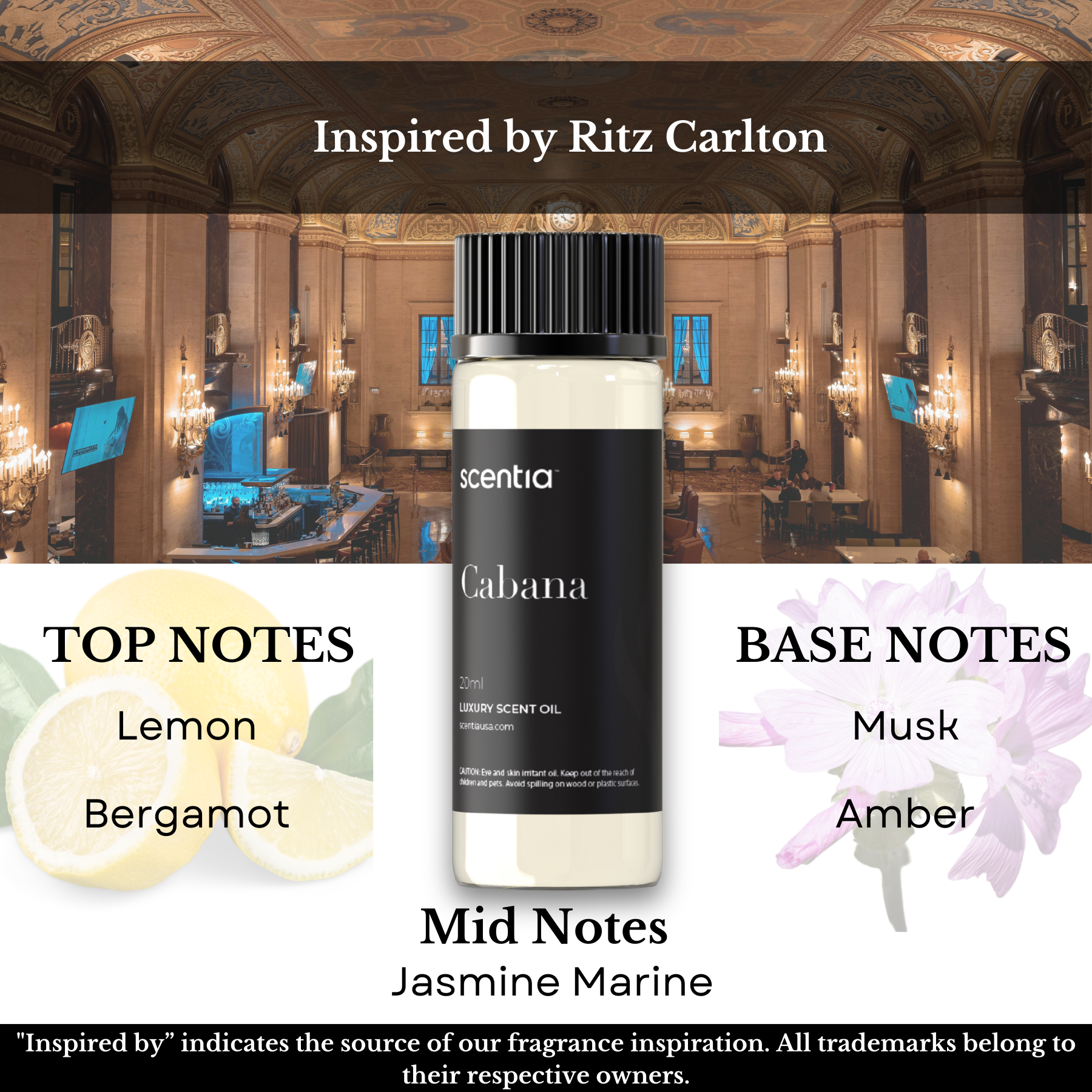Top 5 Hotel Inspired Samples- Signature Set