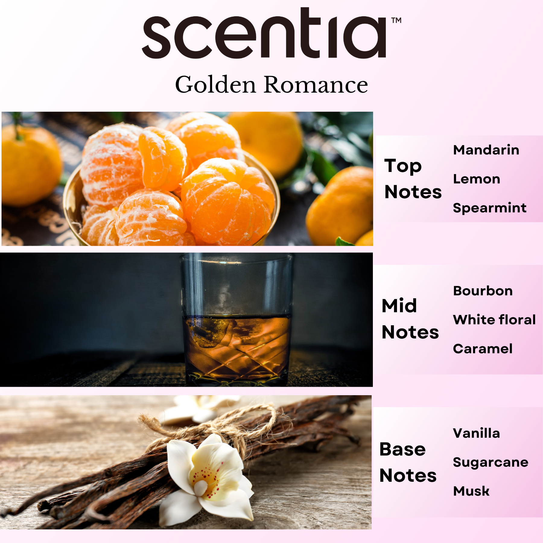Love Collection Scent Oil Sample Kit 3X20ml